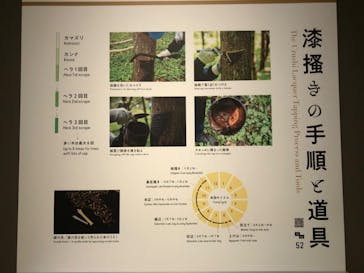 東京国立博物館に投稿された画像（2025/11/22）