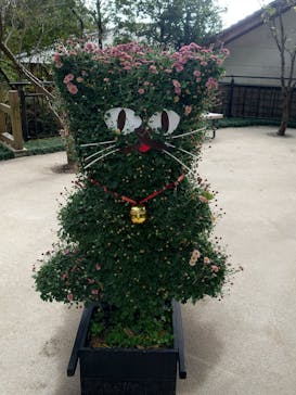 仙巌園に投稿された画像（2025/11/22）