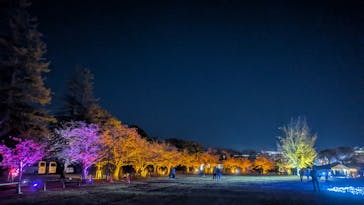 Himeji Castle of Light『DANDELION PROJECT 姫路城×NAKED, INC.』に投稿された画像（2025/11/22）