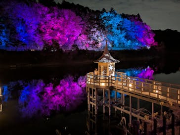 ムーミンバレーパークに投稿された画像（2025/11/22）