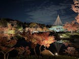 国営昭和記念公園 秋の夜散歩に投稿された画像（2025/11/22）