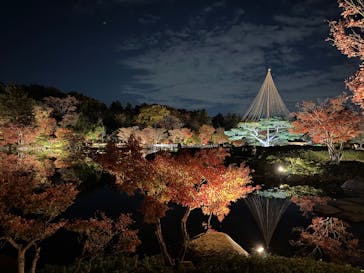 国営昭和記念公園 秋の夜散歩に投稿された画像（2025/11/22）