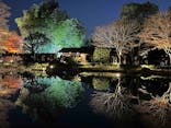国営昭和記念公園 秋の夜散歩に投稿された画像（2025/11/22）