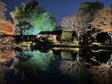 国営昭和記念公園 秋の夜散歩に投稿された画像（2025/11/22）