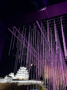 Himeji Castle of Light『DANDELION PROJECT 姫路城×NAKED, INC.』に投稿された画像（2025/11/22）