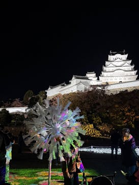 Himeji Castle of Light『DANDELION PROJECT 姫路城×NAKED, INC.』に投稿された画像（2025/11/22）