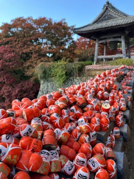 勝尾寺に投稿された画像（2025/11/22）