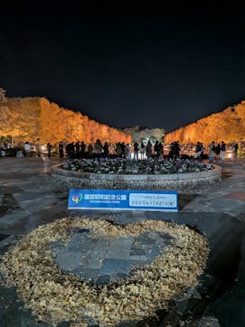 国営昭和記念公園 秋の夜散歩に投稿された画像（2025/11/22）