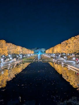 国営昭和記念公園 秋の夜散歩に投稿された画像（2025/11/22）
