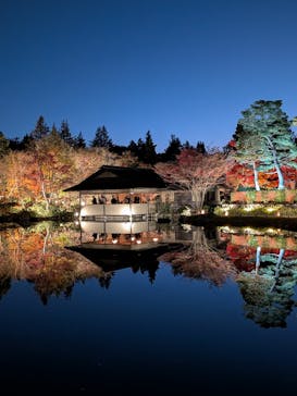 国営昭和記念公園 秋の夜散歩に投稿された画像（2025/11/22）