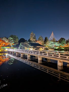 国営昭和記念公園 秋の夜散歩に投稿された画像（2025/11/22）
