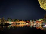 国営昭和記念公園 秋の夜散歩に投稿された画像（2025/11/22）
