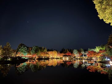 国営昭和記念公園 秋の夜散歩に投稿された画像（2025/11/22）