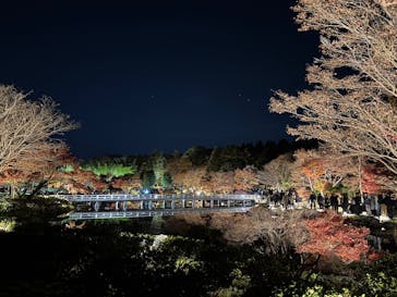 国営昭和記念公園 秋の夜散歩に投稿された画像（2025/11/22）
