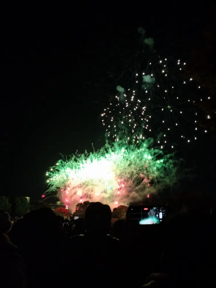 万博夜空がアートになる日の口コミ ｜真正面に花火が次々と打ち上げら