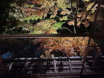 江戸東京たてもの園に投稿された画像（2025/11/22）