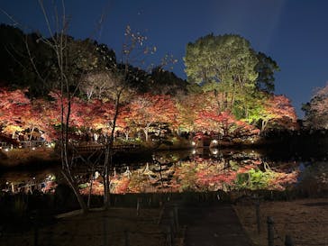 名古屋市東山動植物園に投稿された画像（2025/11/22）