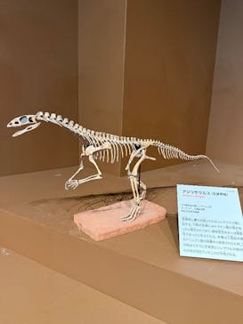 特別展「大絶滅展―生命史のビッグファイブ」に投稿された画像（2025/11/22）