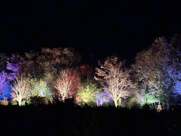 世羅高原農場に投稿された画像（2025/11/22）