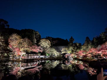 名古屋市東山動植物園に投稿された画像（2025/11/22）