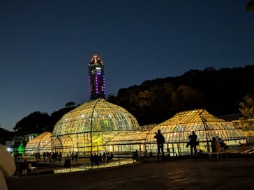 名古屋市東山動植物園に投稿された画像（2025/11/22）