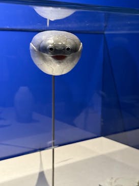 特別展「大絶滅展―生命史のビッグファイブ」に投稿された画像（2025/11/22）