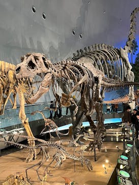 福井県立恐竜博物館に投稿された画像（2025/11/22）