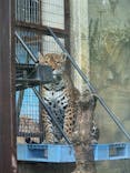 天王寺動物園に投稿された画像（2025/11/22）