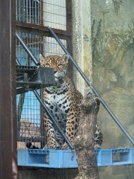 天王寺動物園に投稿された画像（2025/11/22）