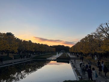 国営昭和記念公園 秋の夜散歩に投稿された画像（2025/11/22）