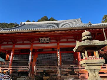 勝尾寺に投稿された画像（2025/11/22）