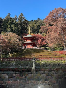 勝尾寺に投稿された画像（2025/11/22）