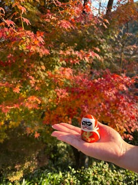 勝尾寺に投稿された画像（2025/11/22）