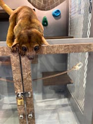 アニタッチみなとみらいに投稿された画像（2025/11/22）