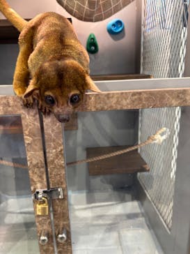 アニタッチみなとみらいに投稿された画像（2025/11/22）