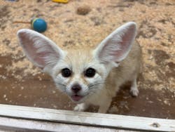 アニタッチみなとみらいに投稿された画像（2025/11/22）