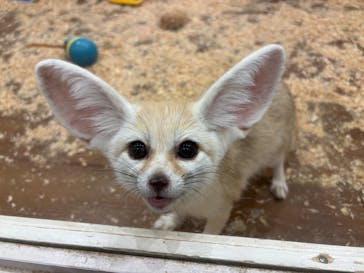 アニタッチみなとみらいに投稿された画像（2025/11/22）