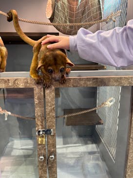 アニタッチみなとみらいに投稿された画像（2025/11/22）