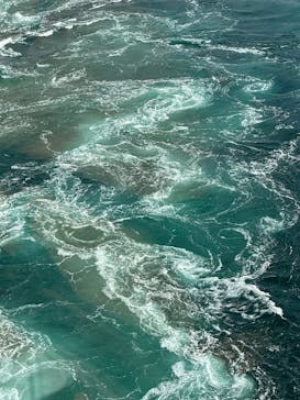 徳島県立 渦の道に投稿された画像（2025/11/22）