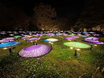 国営昭和記念公園 秋の夜散歩に投稿された画像（2025/11/22）