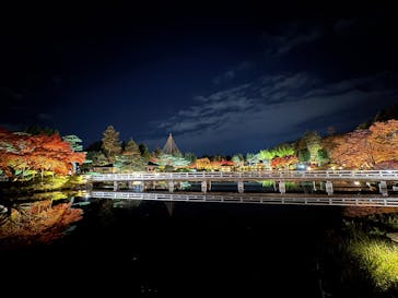 国営昭和記念公園 秋の夜散歩に投稿された画像（2025/11/22）
