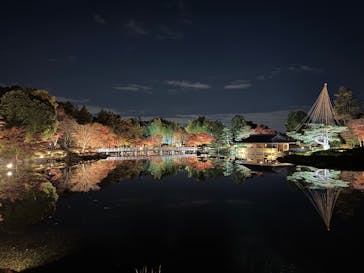 国営昭和記念公園 秋の夜散歩に投稿された画像（2025/11/22）