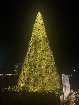 Christmas Market in 横浜赤レンガ倉庫 2025に投稿された画像（2025/11/22）
