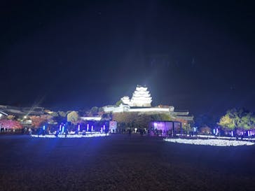 Himeji Castle of Light『DANDELION PROJECT 姫路城×NAKED, INC.』に投稿された画像（2025/11/22）