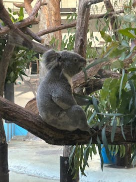 多摩動物公園に投稿された画像（2025/11/22）
