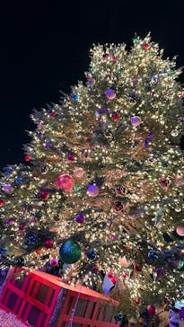 Christmas Market in 横浜赤レンガ倉庫 2025に投稿された画像（2025/11/22）