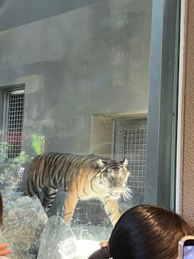 名古屋市東山動植物園に投稿された画像（2025/11/22）