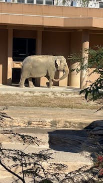 名古屋市東山動植物園に投稿された画像（2025/11/22）