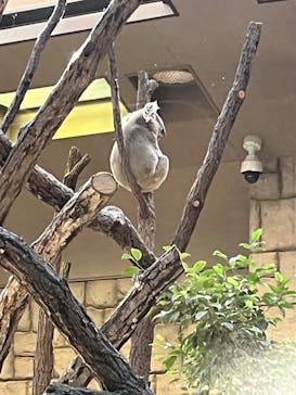 名古屋市東山動植物園に投稿された画像（2025/11/22）