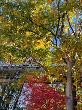 名古屋市東山動植物園に投稿された画像（2025/11/22）